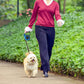 Laisse automatique rétractable pour Chien