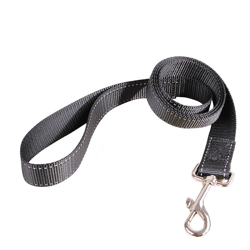 Laisse automatique rétractable pour Chien